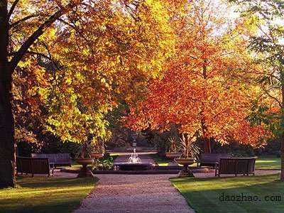 6-university-of-oxford-oxford 6-university-of-oxford-oxford